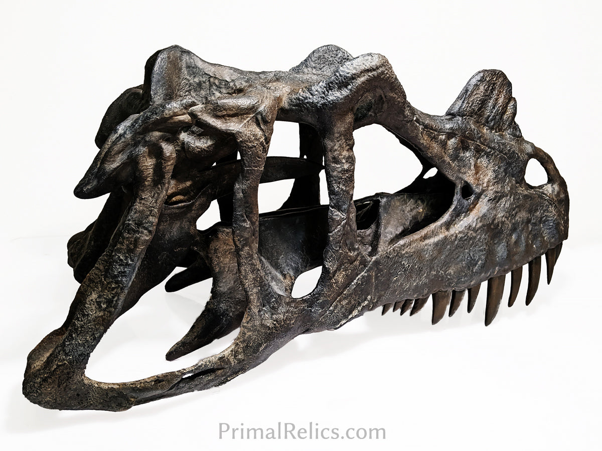 Ceratosaurus nasicornis skull