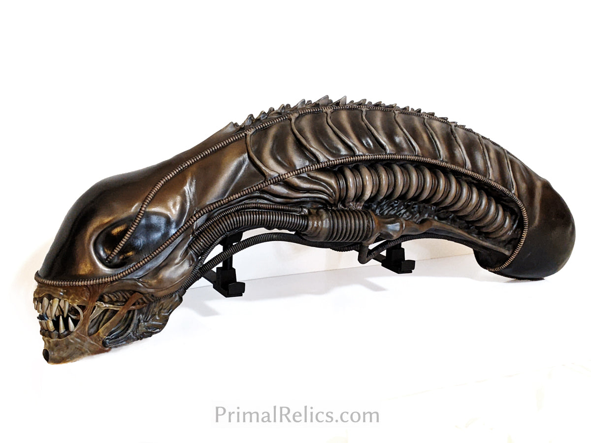 Xenomorph warrior head