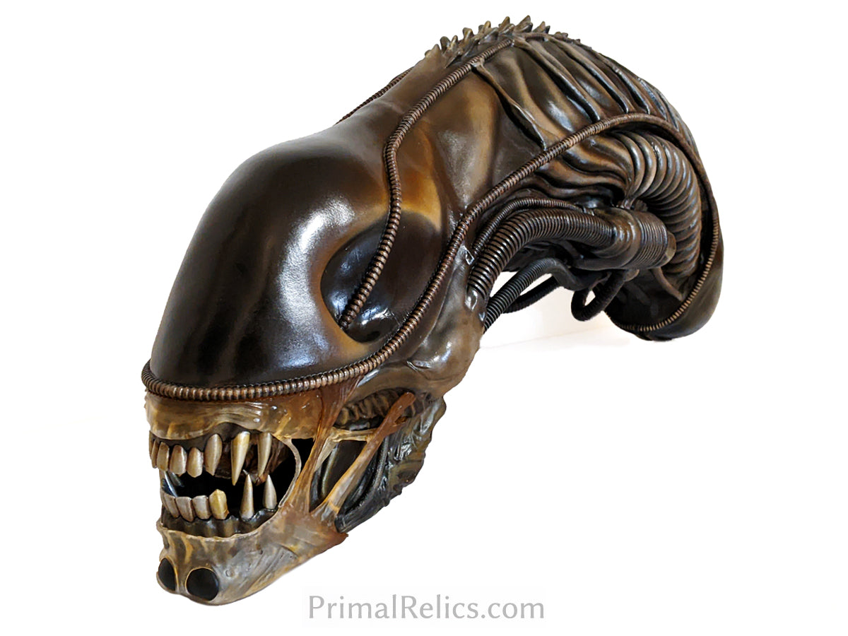 Xenomorph warrior head