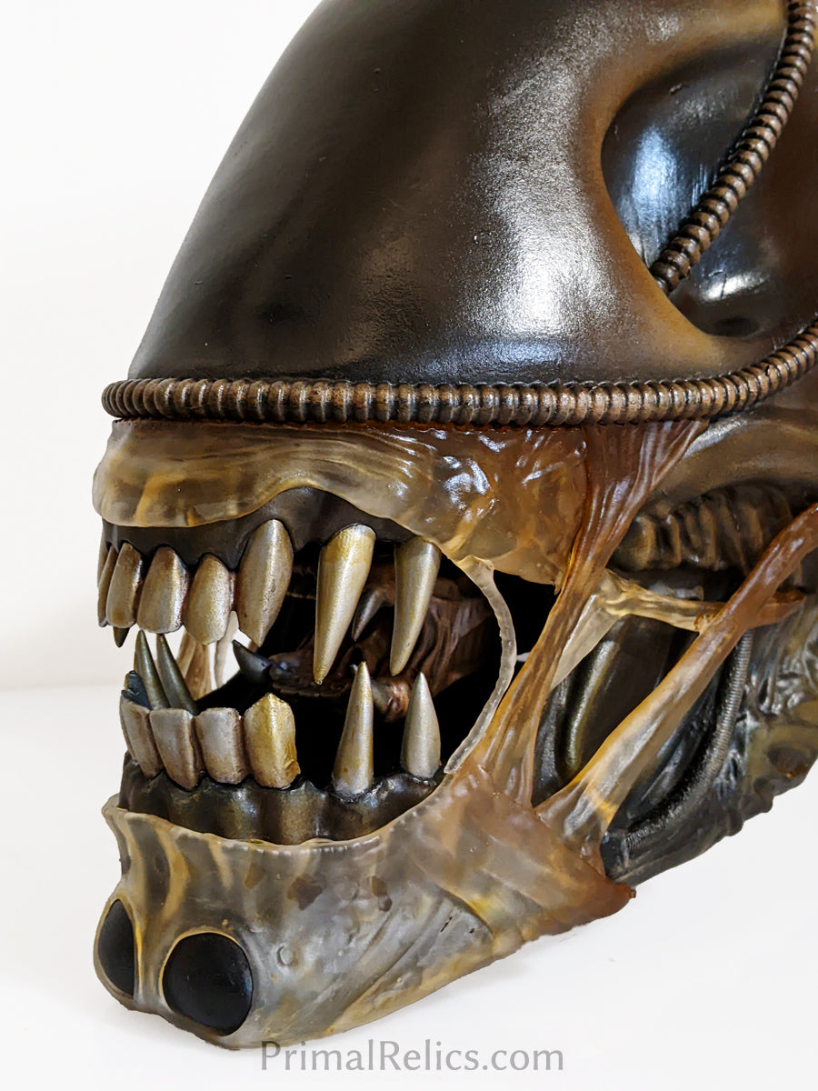Xenomorph warrior head