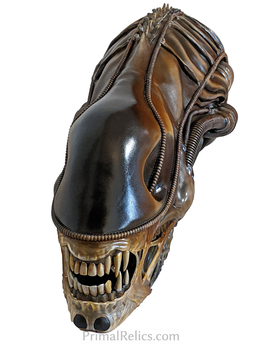 Xenomorph warrior head