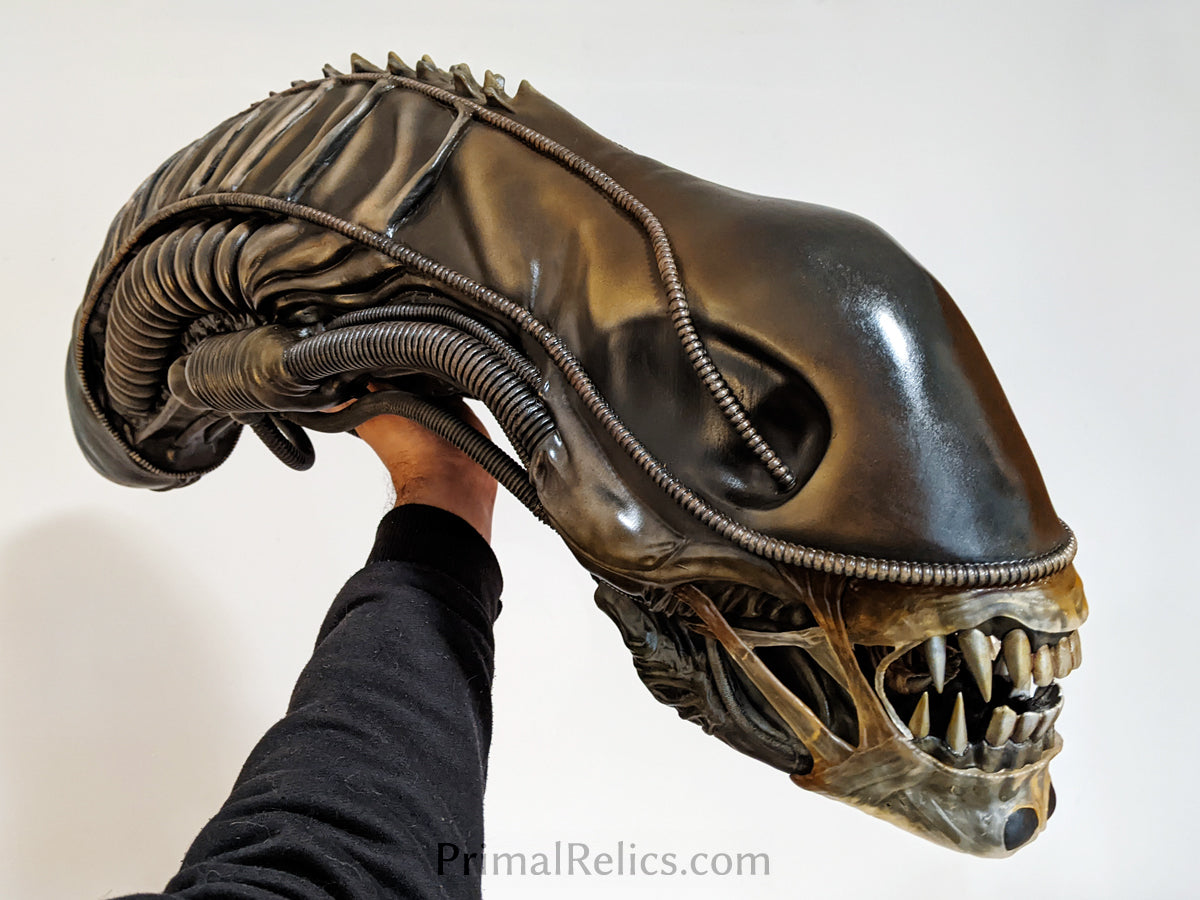 Xenomorph warrior head