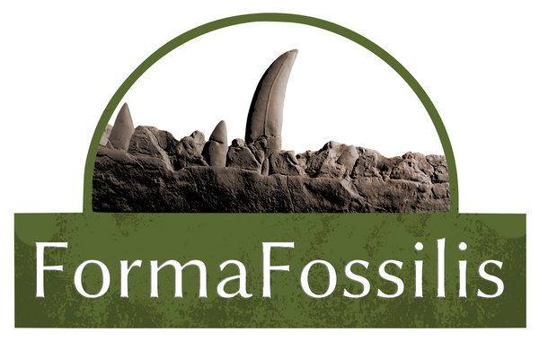 Forma Fossilis